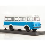 масштабная модель РАФ 251 1 43