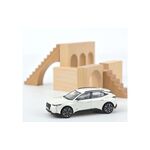 масштабная модель Citroen DS4 Cross 2021 1 43