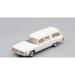 масштабная модель Модель-14 Универсал РАФ-3920 Доктор 1 43