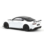 масштабная модель Alpine A110 R 2024 1 18